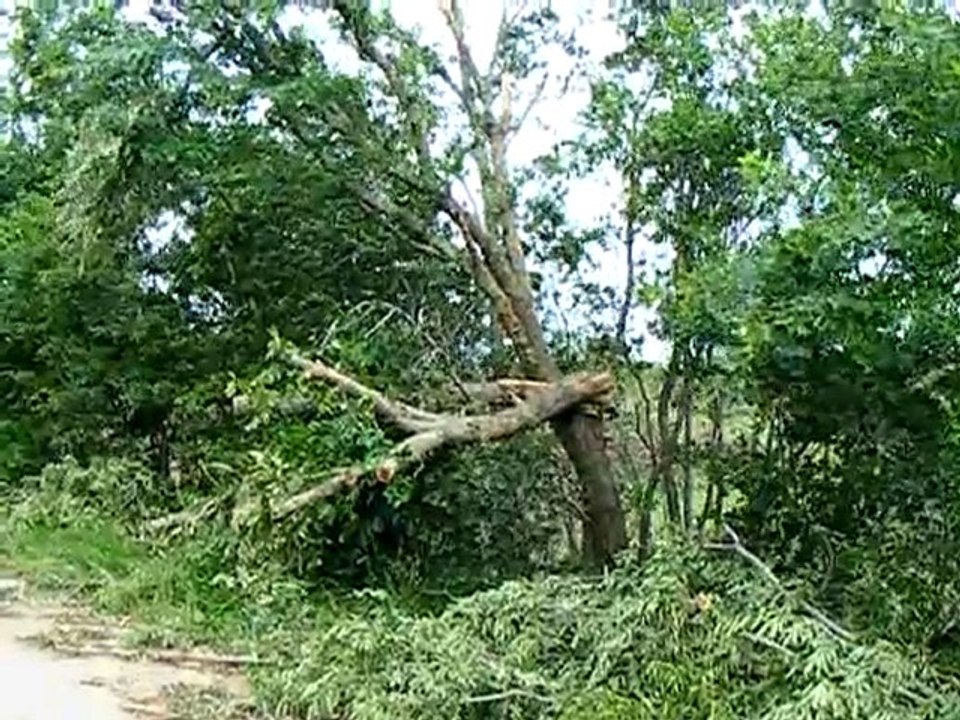 Tornado Damage.