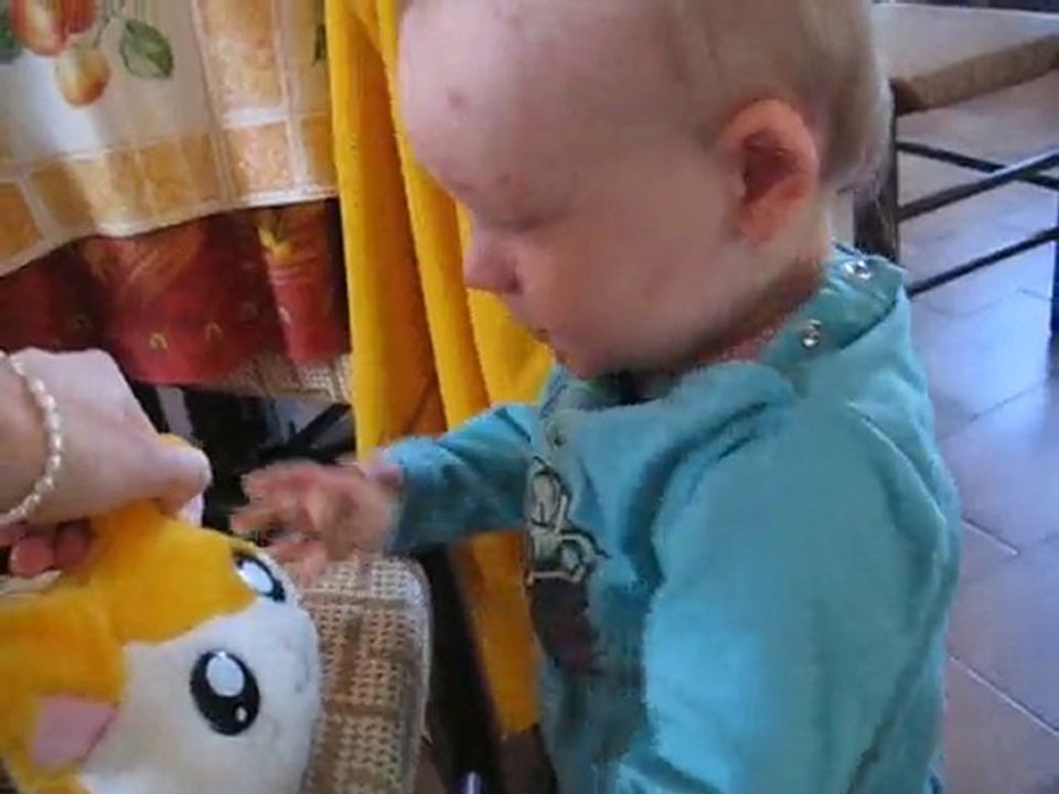 souvenir varicelle 20092