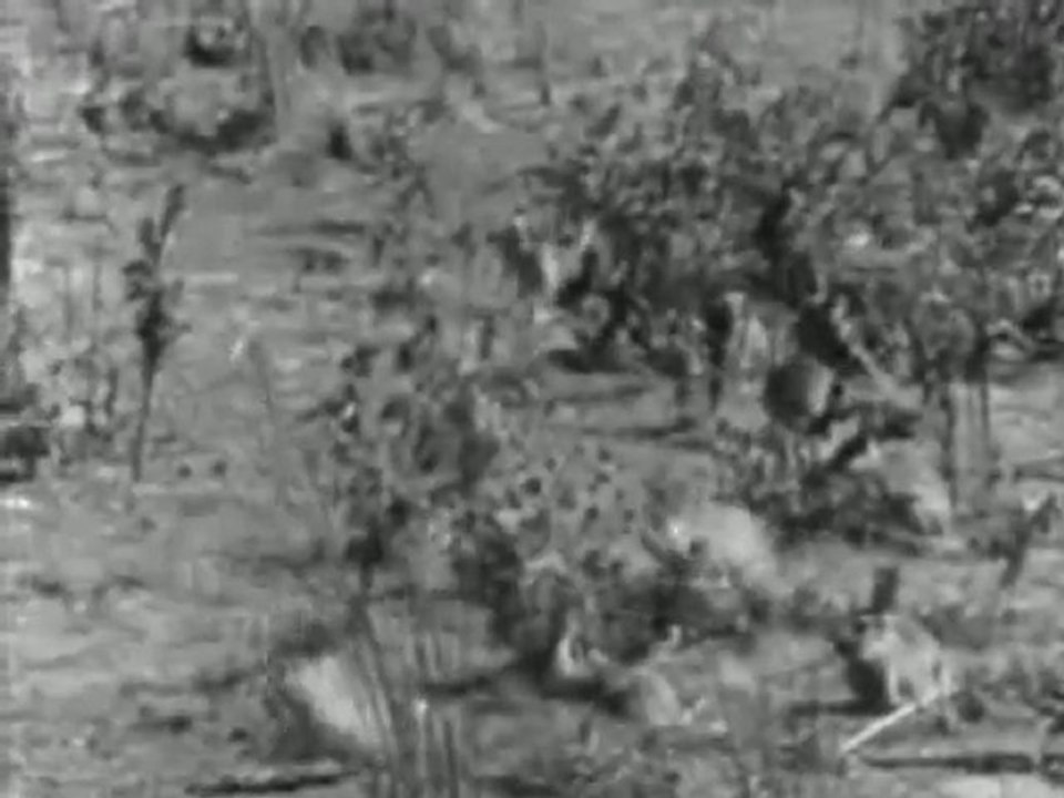 Rabbit à la Berlin (2009) - Trailer