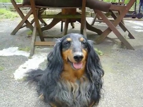 le beau juju avec mon gros tanaro