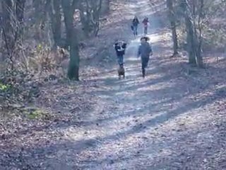 galop dans la foret ^^