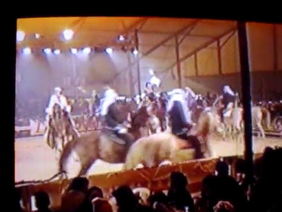 Cheval Passion - Chevaux Barbes 2