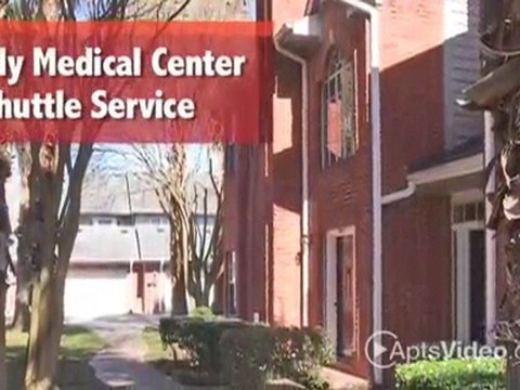 Plaza Del Oro Apartments in Houston, TX - ForRent.com