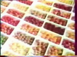 Évolution ou création 4/4