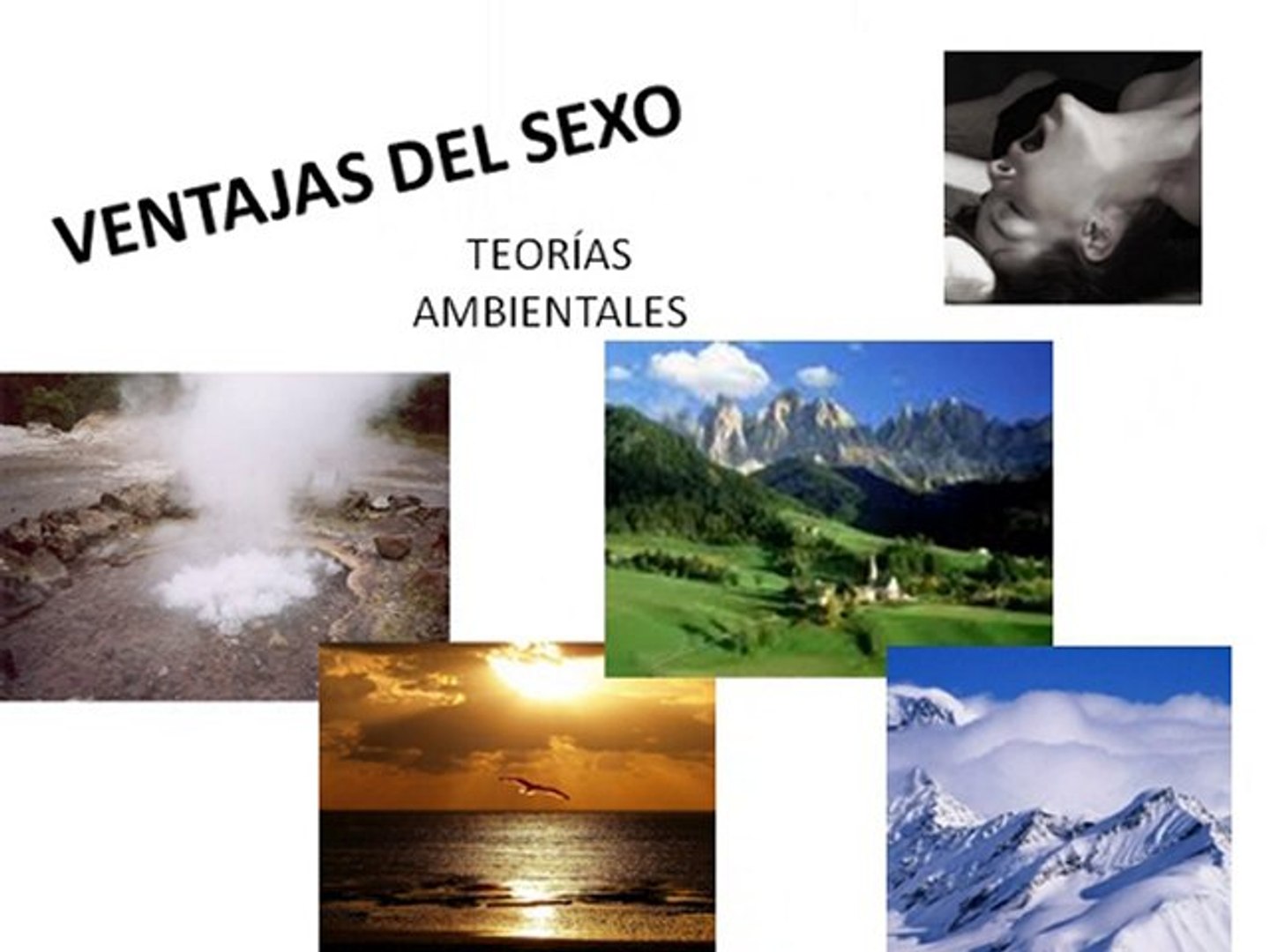 La evolución del sexo
