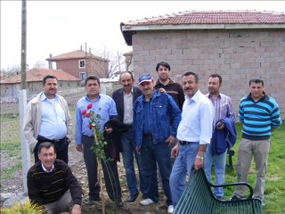 dünyanın bütün çiçekleri