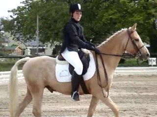 dressage plerguer 09/05/10 aurelie flan club 2