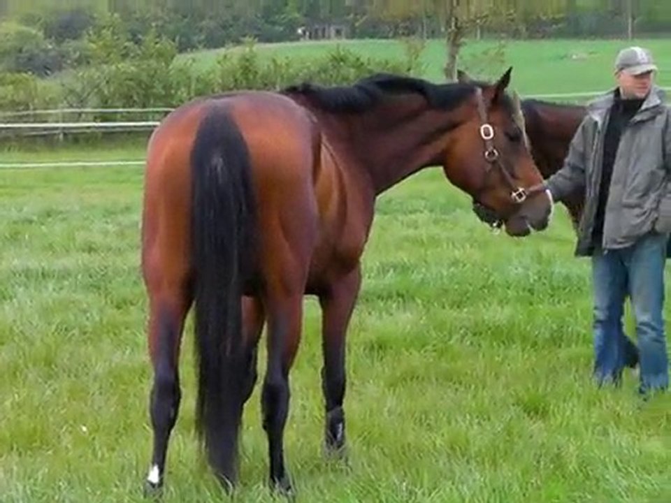 2 - Quelem - Arrivée Maison rouge - 13-05-10