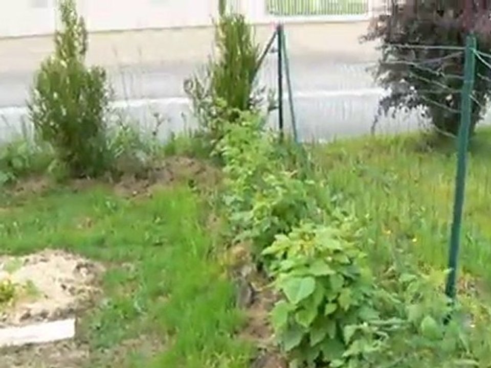 Jardin Sophie