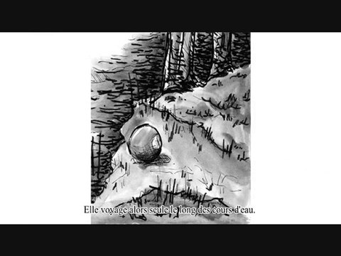 La vie des boules de billard sauvages