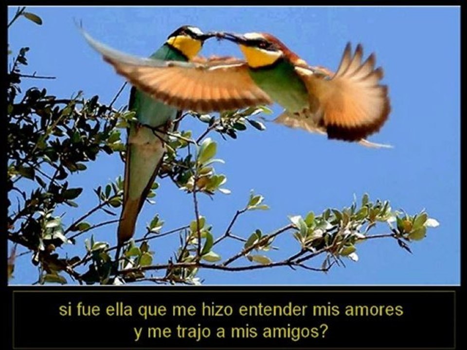 Video 75 El Secreto Detras de EL SECRETO