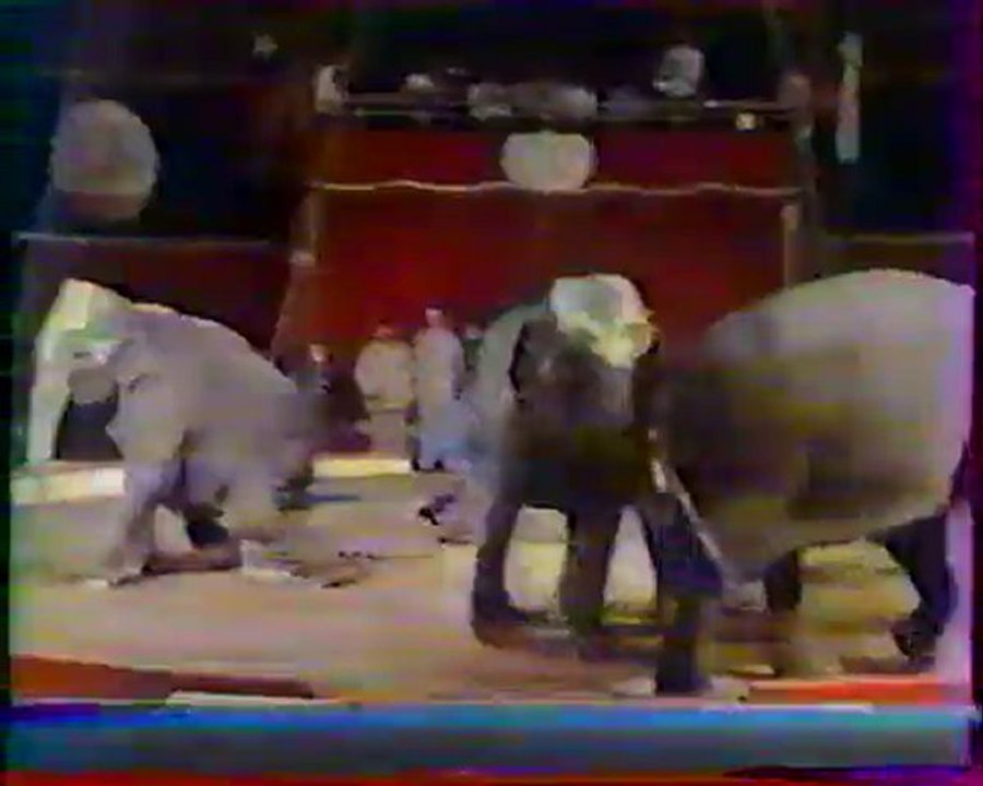 Cirque Jean Richard, Victor Saulevitch