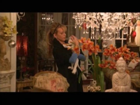 Real Housewives of NJ: Season 2