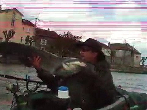 Silure en float tube 1m20 le 02.05.2010