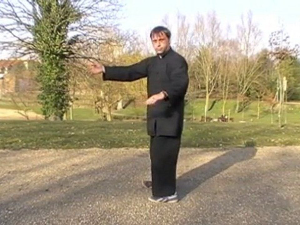 13 postures - Yangjia Michuan Taiji Quan