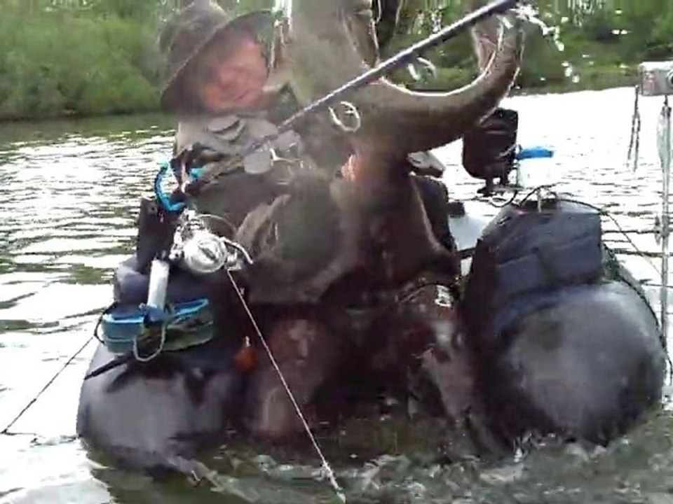 Silure en float tube 1m10 le 13.05.2010