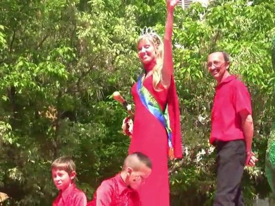 Corso de Cavaillon 2010 - la vidéo du défilé