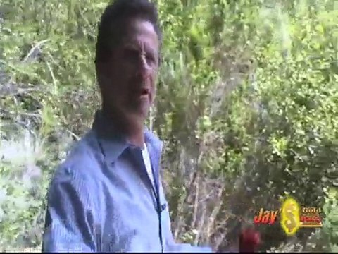 Jays Gold Party Cash Helps People + Non Profits