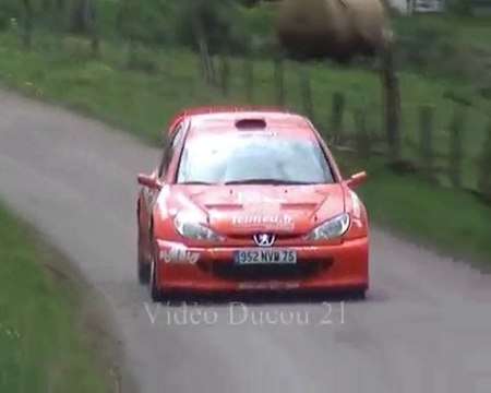 Rallye Dijon Côte d'Or 2010