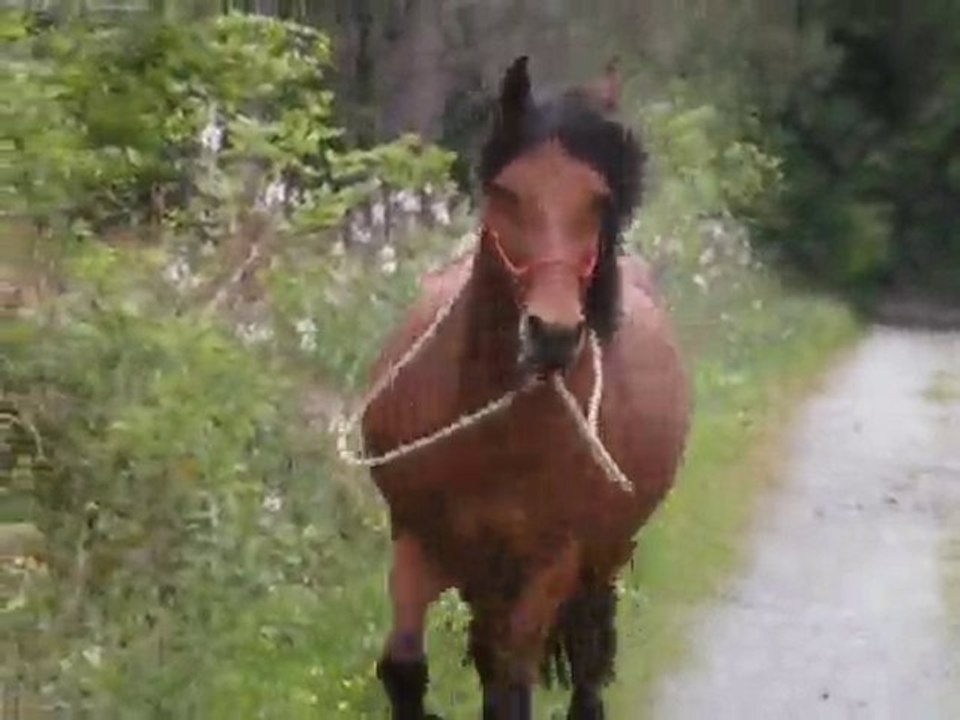 Saph vélo 12 mai 2010