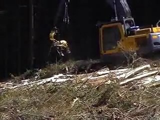 AFM 58 Husky on Volvo