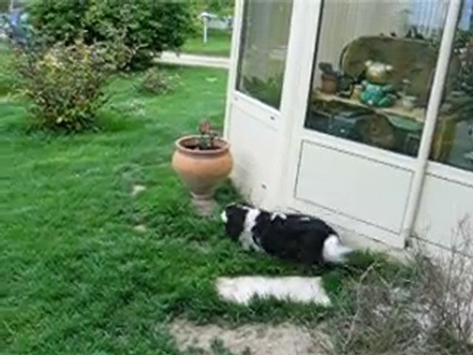 Photo 005