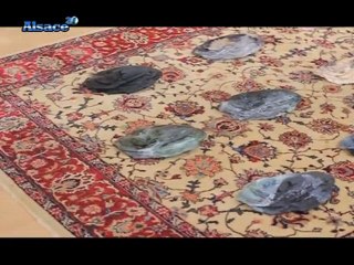 Ateliers ouverts à la FABRIKculture d'Hégenheim