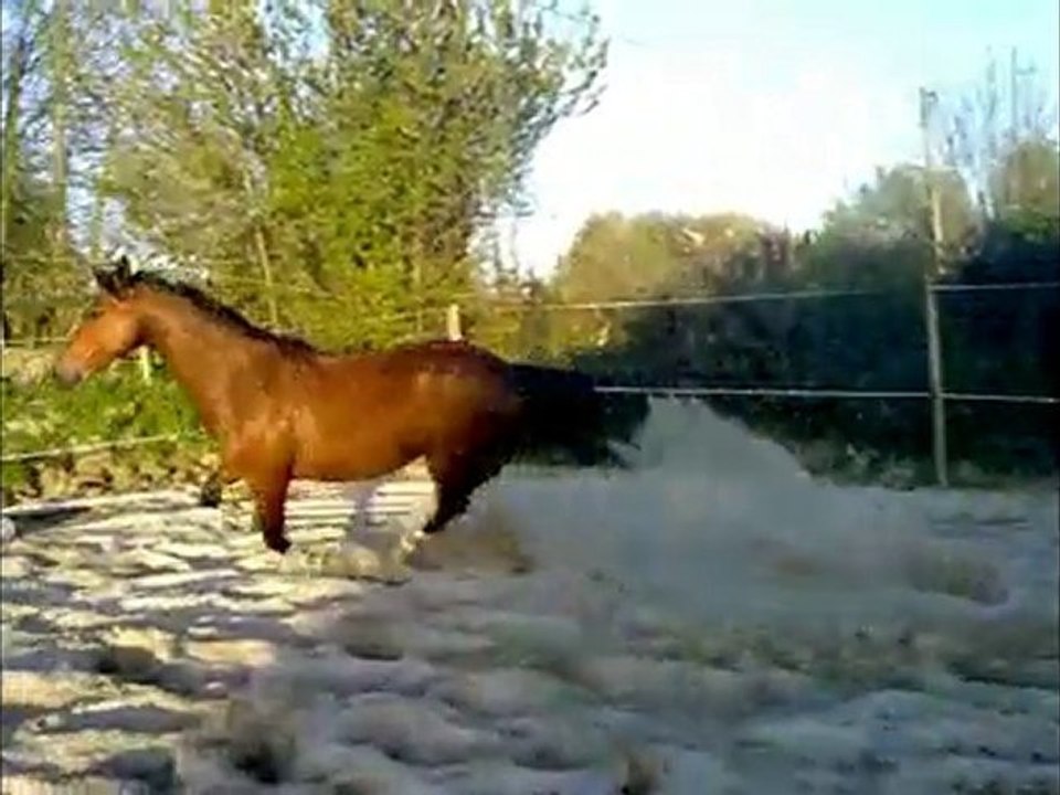 matea liberté avril 2010