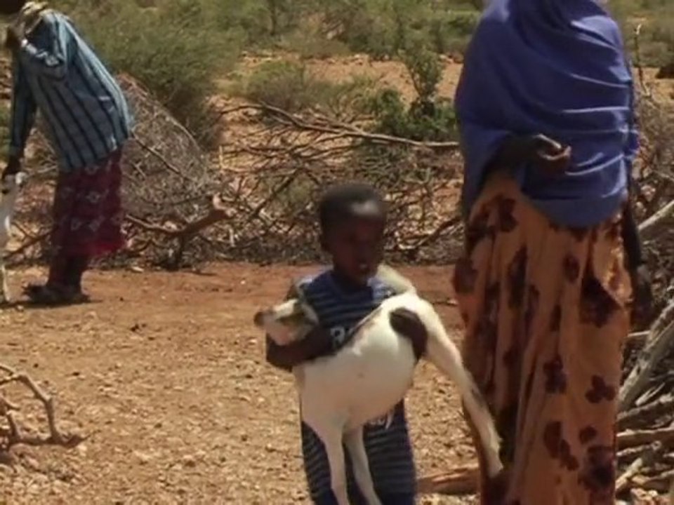 Conflict, drought continue to uproot Somalis