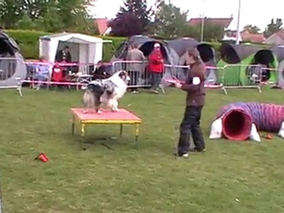 1er degré koda Ingré