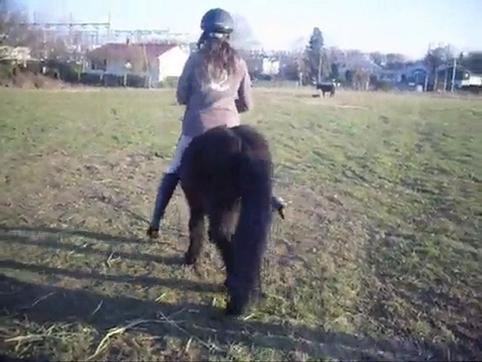 EQUITATION!!