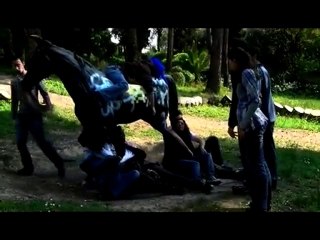 JNM 2010 - Vidéo de Nice