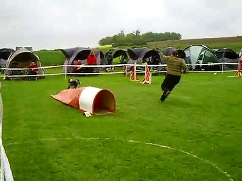 dixie concours agility val de Metz 13-05-2010 GPF