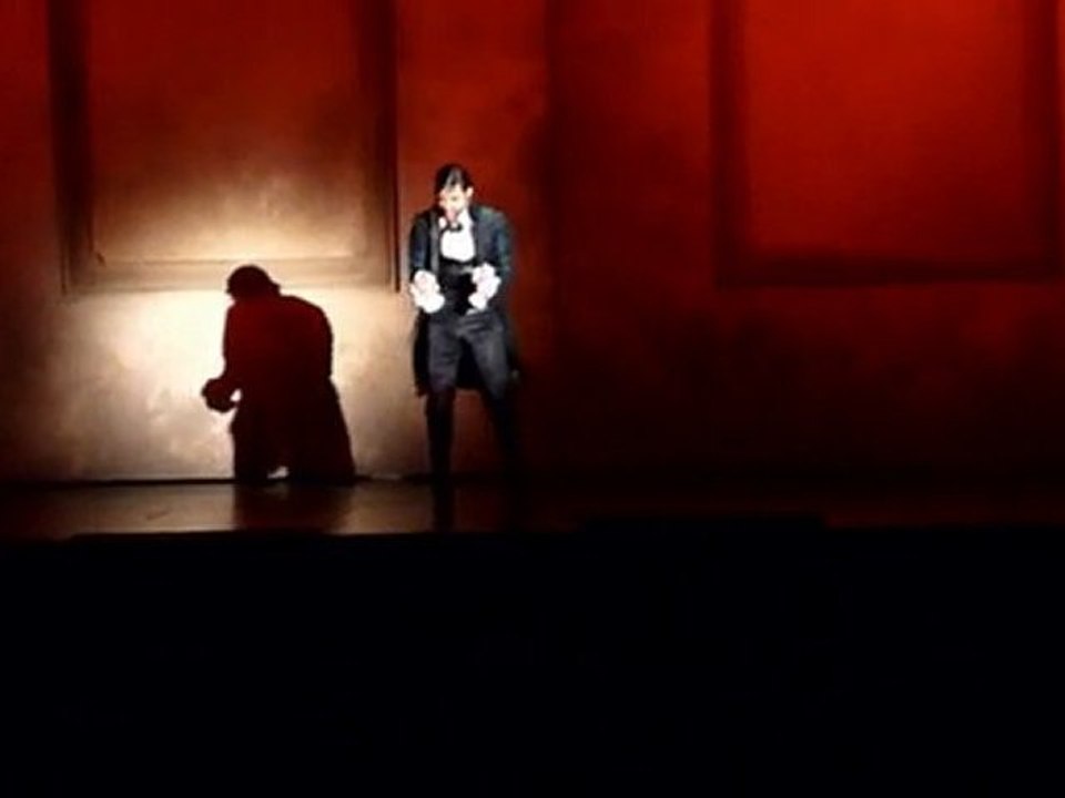 Mozart l'Opéra Rock à Lyon 13 mai 2010 - L'assasymphonie