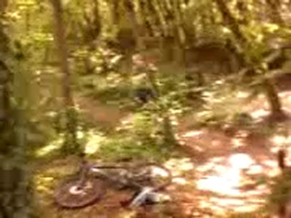 Vidéo-0004