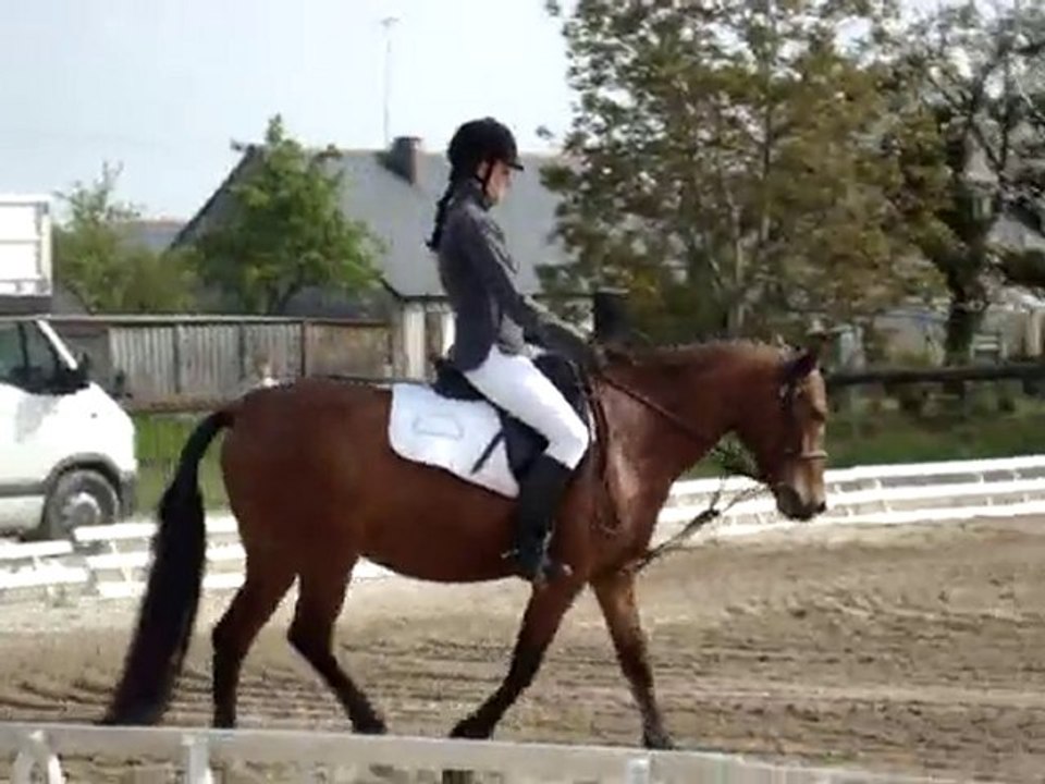 dressage plerguer 09/05/10 helene kiwen club 2