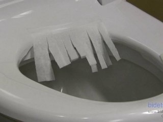 How to Use a Bidet Video