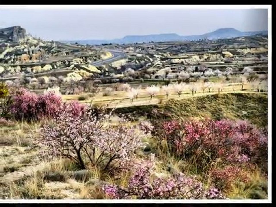 Kapadokya-2010