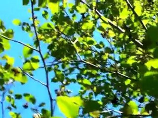 Retrograde S01E03 "Let Me Give You A Hand"