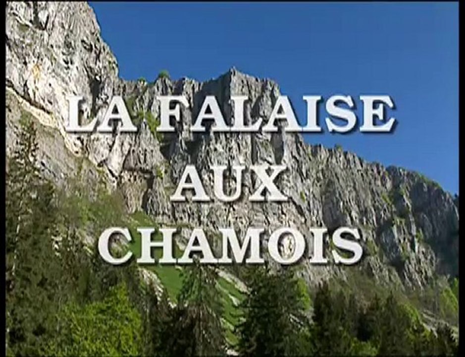 La falaise aux chamois