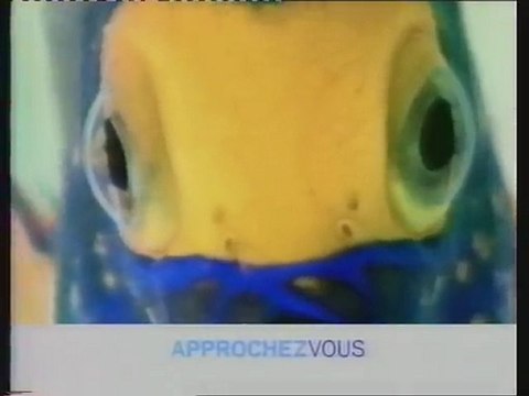 France 3 23 Octobre 1999 1 bande-annonce - plumes z'et paillettes