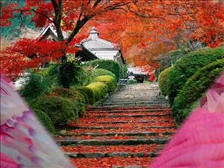 LA CLE DES SONGES....