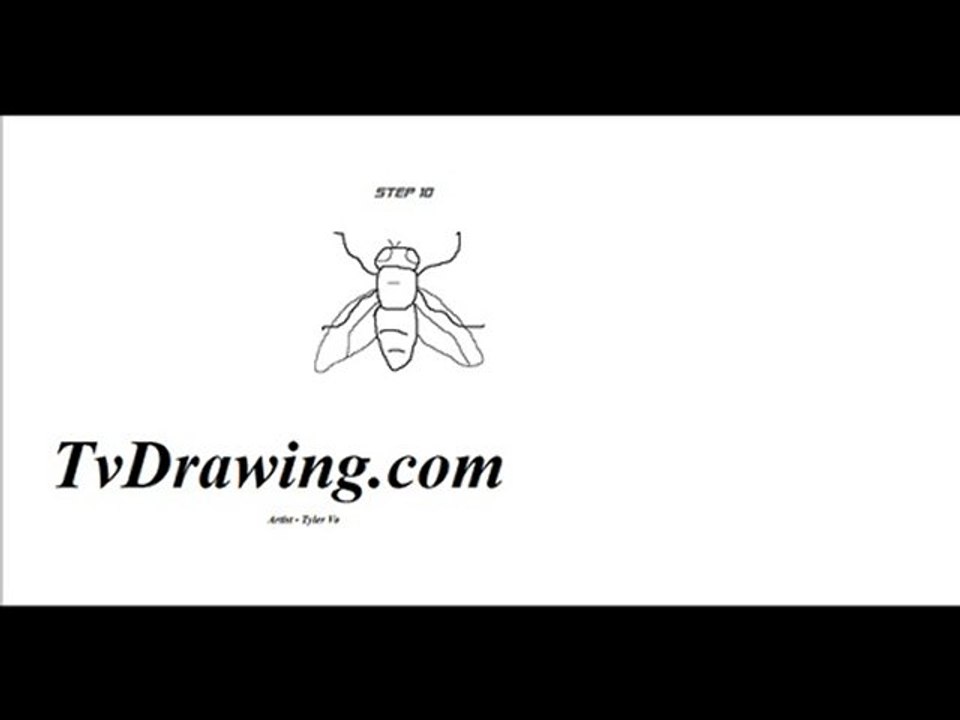 How to draw, cartoon, fly, simple, easy, step by step.