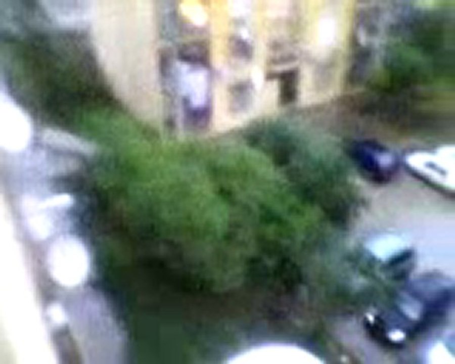 Vidéo-0001_1