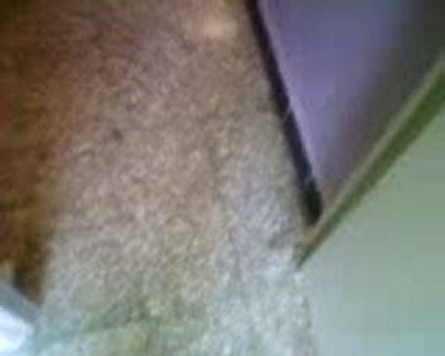 Vidéo-0005