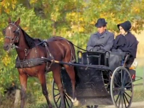 Comfort Inn Waterloo Video Tour
