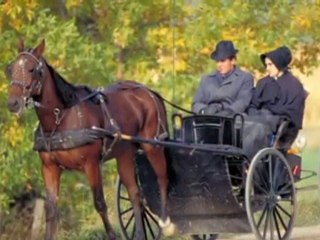 Comfort Inn Waterloo Video Tour