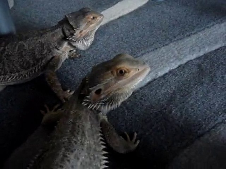 MOV05743