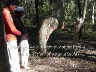 Miracle d Allah- Un arbre en Ruku