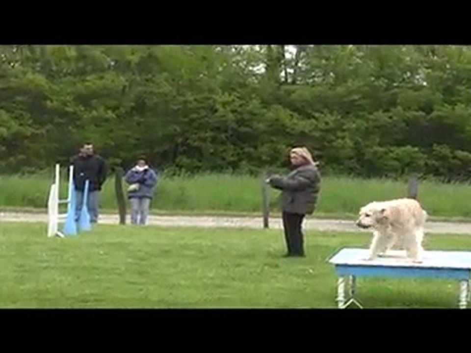 Salsa Open Agility Peronnas 13/05/2010